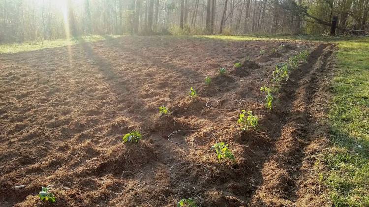 12513914_10106140977558678_8409851011271971360_o