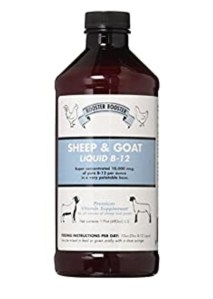 Rooster Booster 🐓 